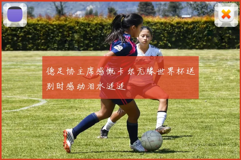 德足协主席感慨卡尔无缘世界杯送别时感动泪水涟涟