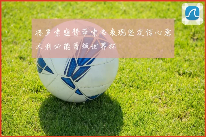 格罗索盛赞萨索洛表现坚定信心意大利必能晋级世界杯